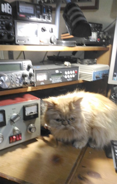 eshka-radio-s.jpg